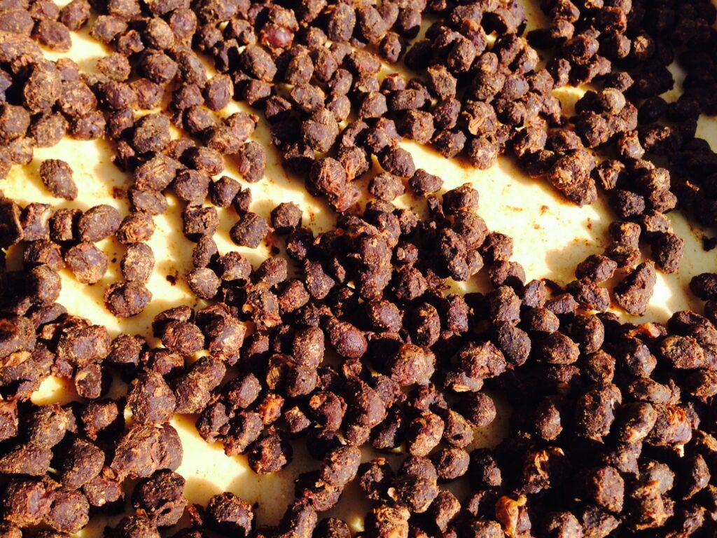 after one-year-fermentation