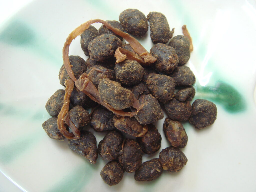 Close-up of traditional Japanese Hamanatto showing its dense fermented soybeans