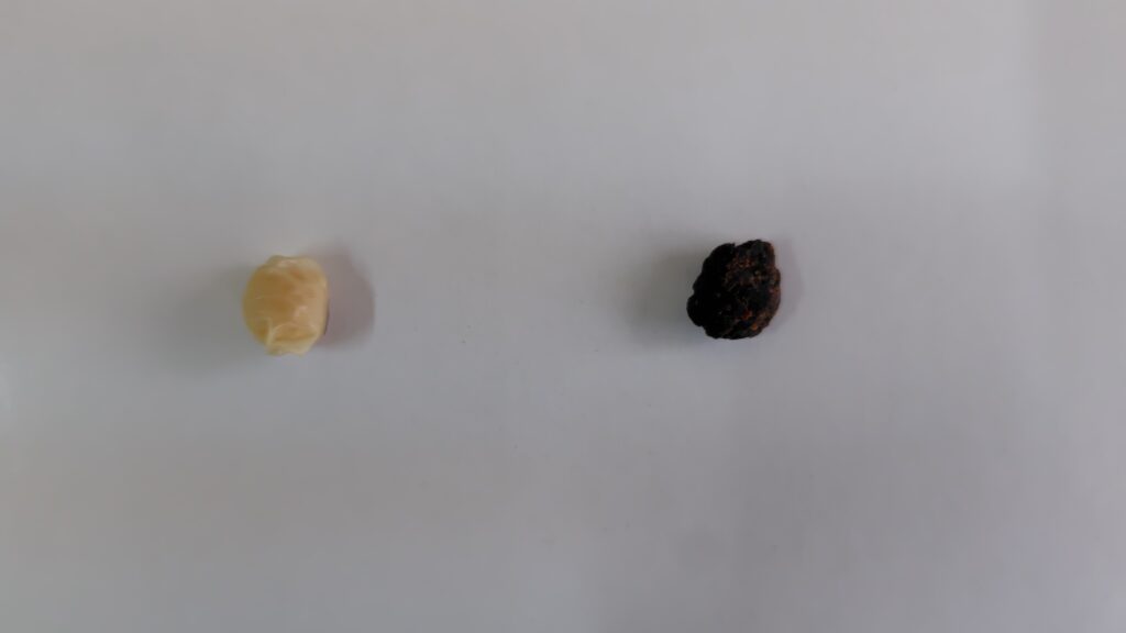 Fresh soybeans and mature Hamanatto showing the transformation caused by fermentation